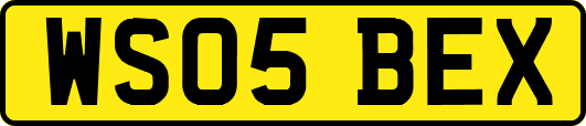 WS05BEX