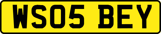 WS05BEY