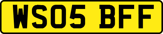 WS05BFF