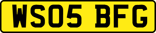 WS05BFG