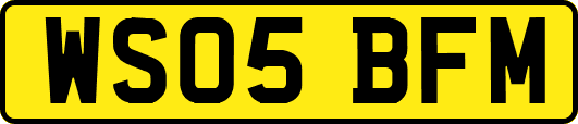 WS05BFM