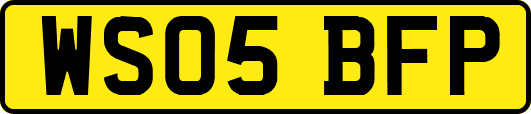 WS05BFP
