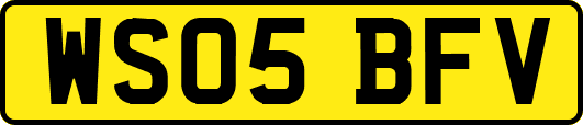 WS05BFV