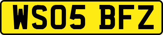 WS05BFZ