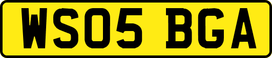 WS05BGA