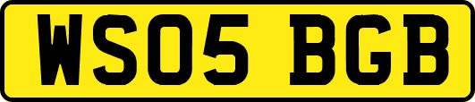 WS05BGB