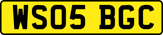 WS05BGC
