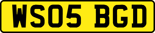 WS05BGD