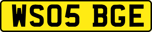WS05BGE