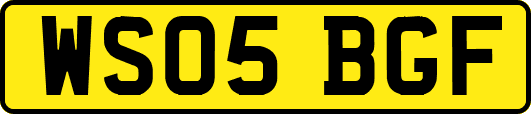 WS05BGF