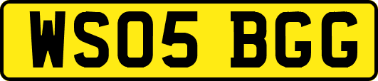 WS05BGG
