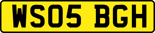 WS05BGH