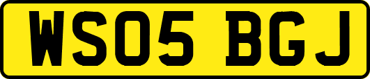 WS05BGJ