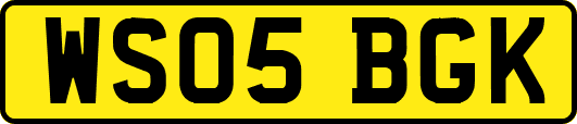 WS05BGK