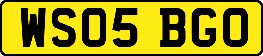 WS05BGO
