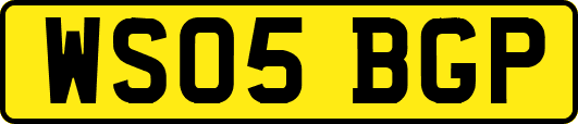 WS05BGP