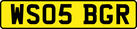 WS05BGR