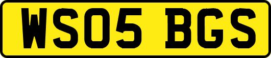 WS05BGS