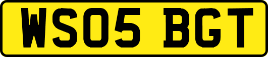 WS05BGT