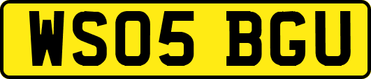 WS05BGU
