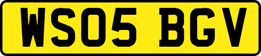 WS05BGV