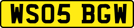 WS05BGW