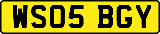 WS05BGY