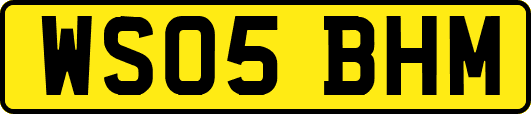WS05BHM