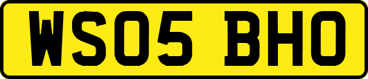 WS05BHO