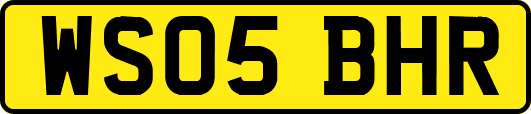 WS05BHR