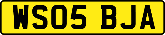 WS05BJA