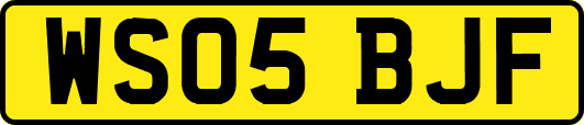 WS05BJF