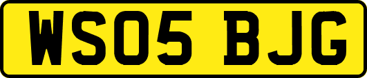 WS05BJG