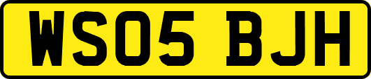 WS05BJH