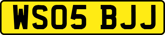 WS05BJJ