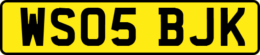WS05BJK