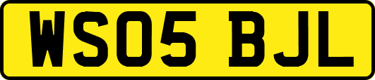 WS05BJL
