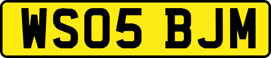 WS05BJM