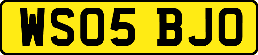 WS05BJO