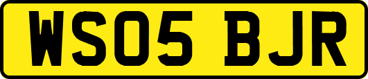 WS05BJR