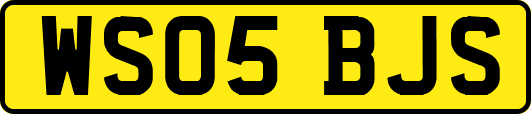WS05BJS