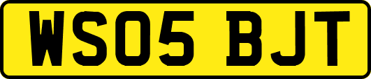 WS05BJT