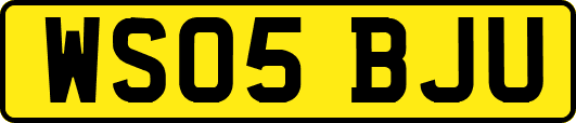 WS05BJU