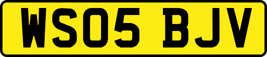 WS05BJV