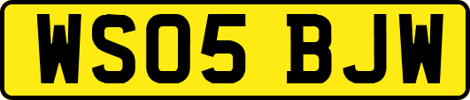 WS05BJW