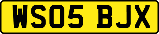 WS05BJX
