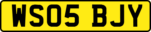 WS05BJY