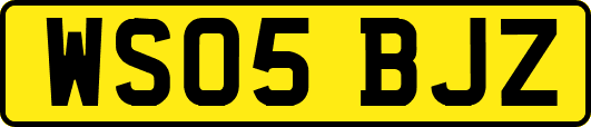 WS05BJZ