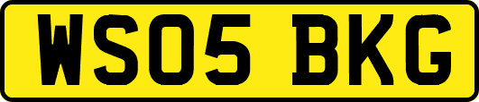 WS05BKG
