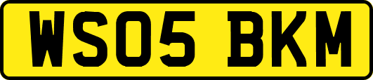 WS05BKM